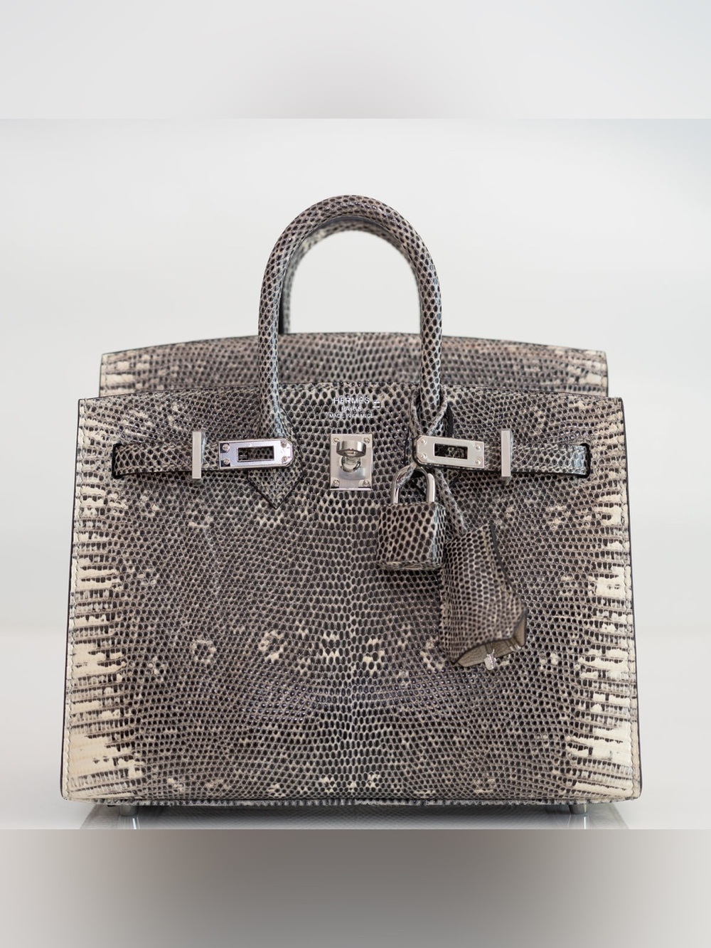Mini Birkin 20 Sellier Ombre genuine Varanus Ring Lizard PHW Handmade